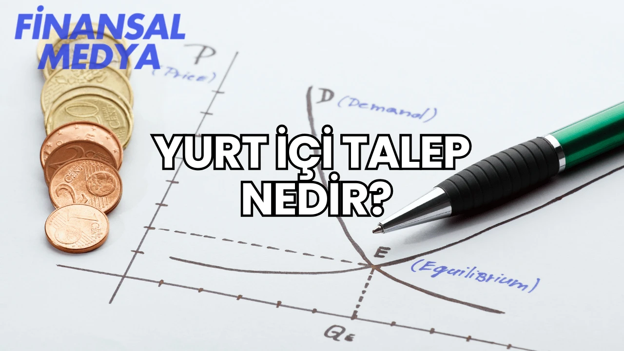 Yurt İçi Talep Nedir?