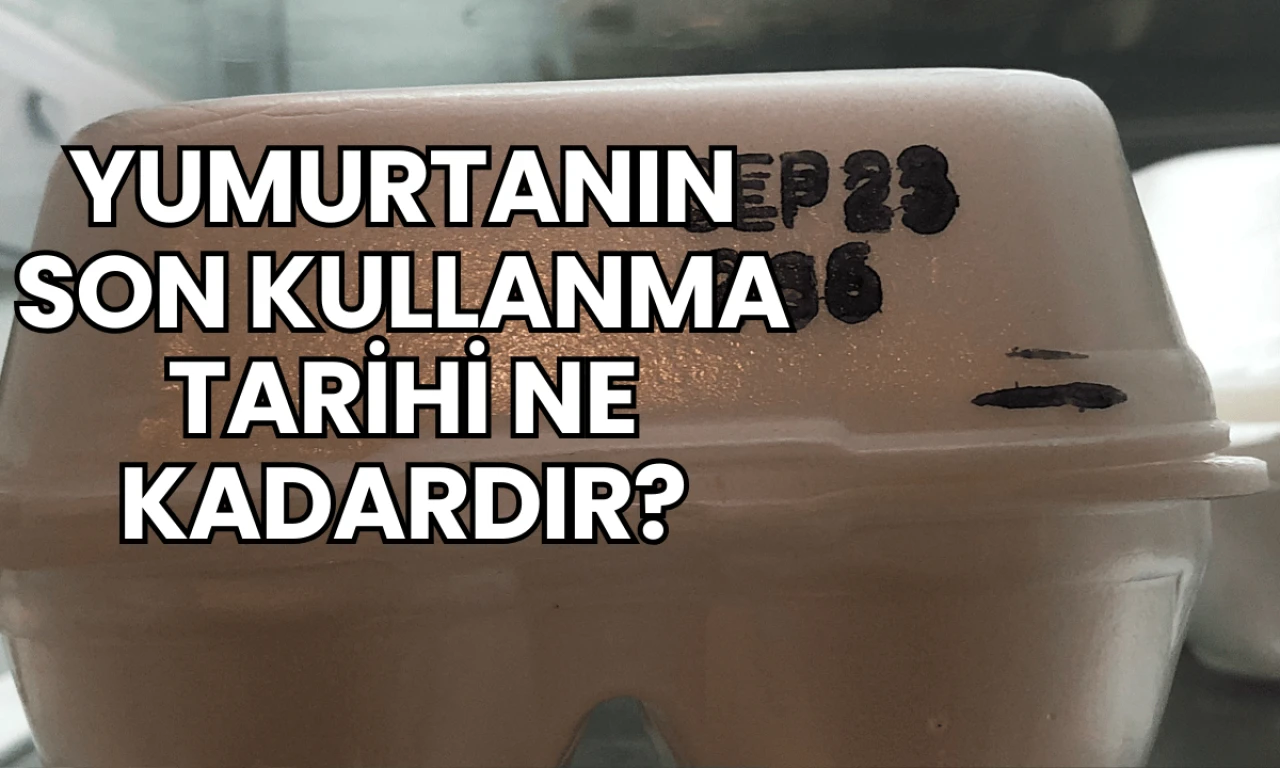 Yumurtanın Son Kullanma Tarihi Ne Kadardır?