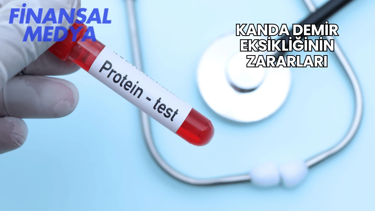 Kanda Demir Eksikliğinin Zararları