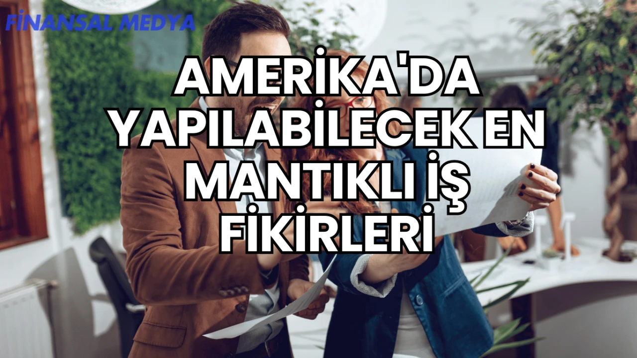 Amerika'da Yapılabilecek En Mantıklı İş Fikirleri