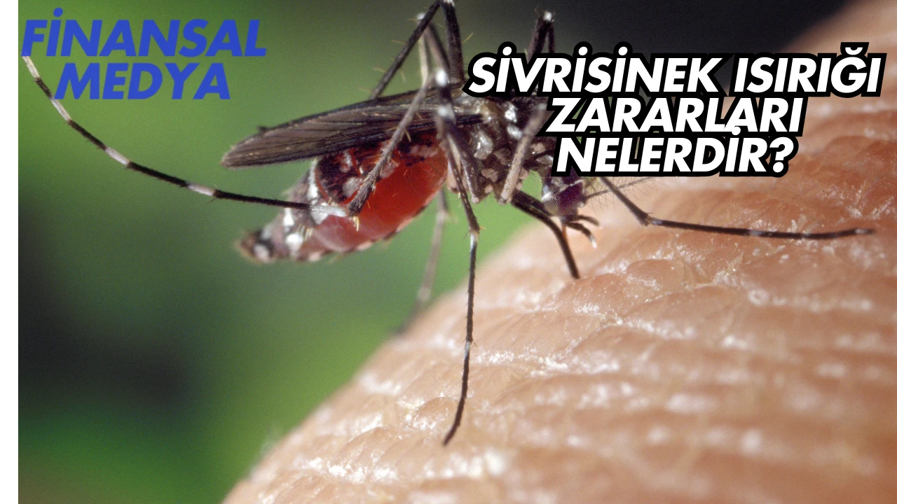 Sivrisinek Isırığı Zararları Nelerdir?