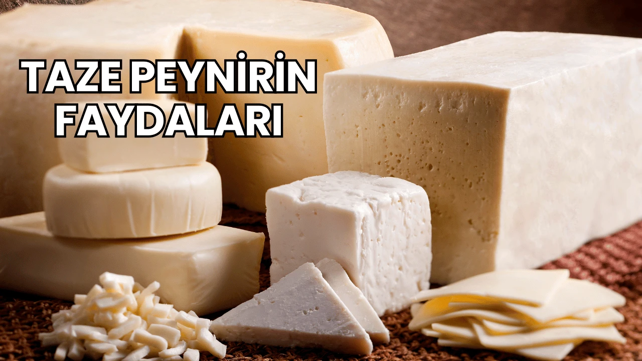 Taze Peynirin Faydaları