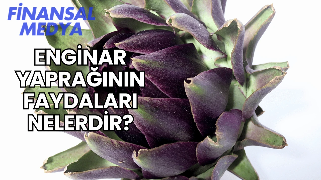 Enginar Yaprağının Faydaları Nelerdir?