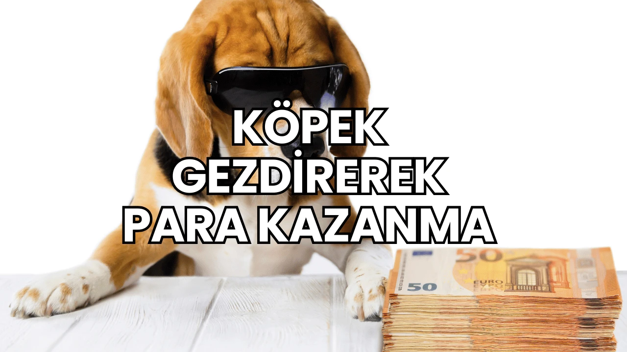 Köpek Gezdirerek Para Kazanma