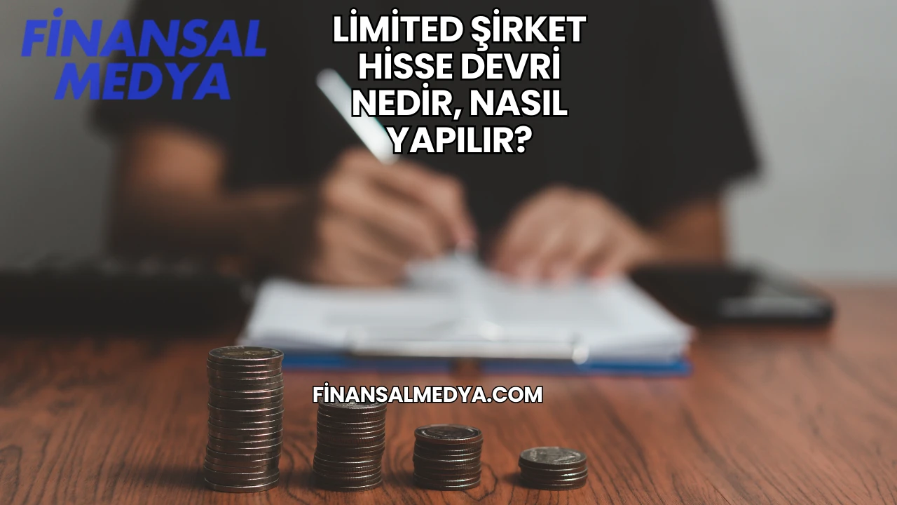 Limited Şirket Hisse Devri Nedir, Nasıl Yapılır?