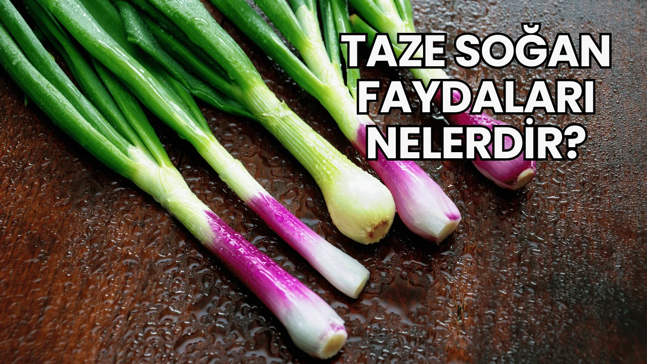 Taze Soğan Faydaları Nelerdir?