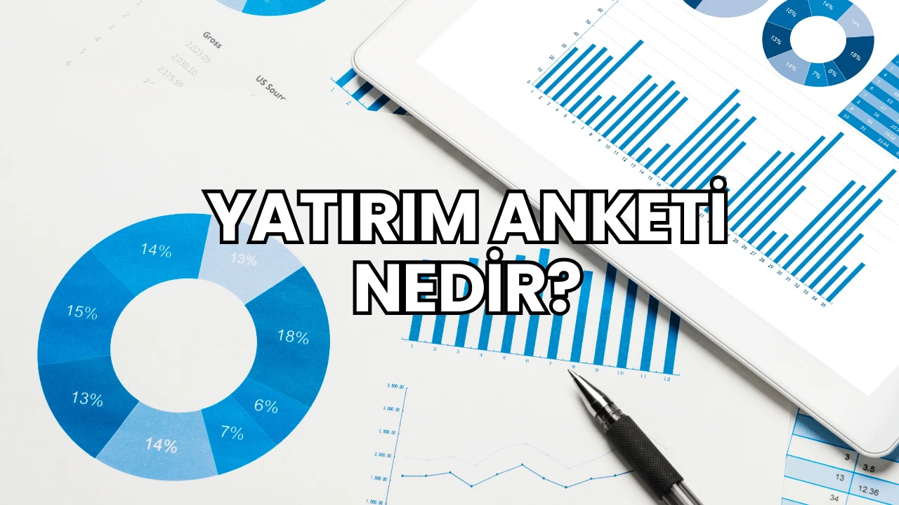 Yatırım Anketi Nedir?