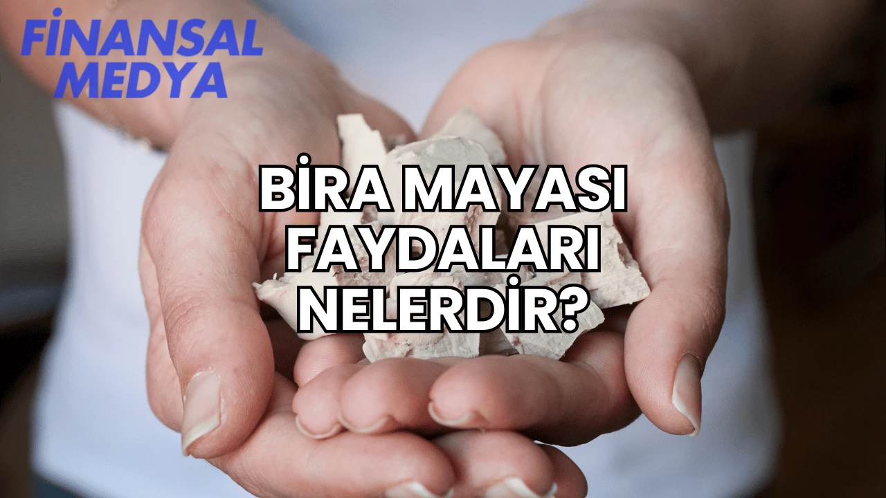 Bira Mayası Faydaları Nelerdir?