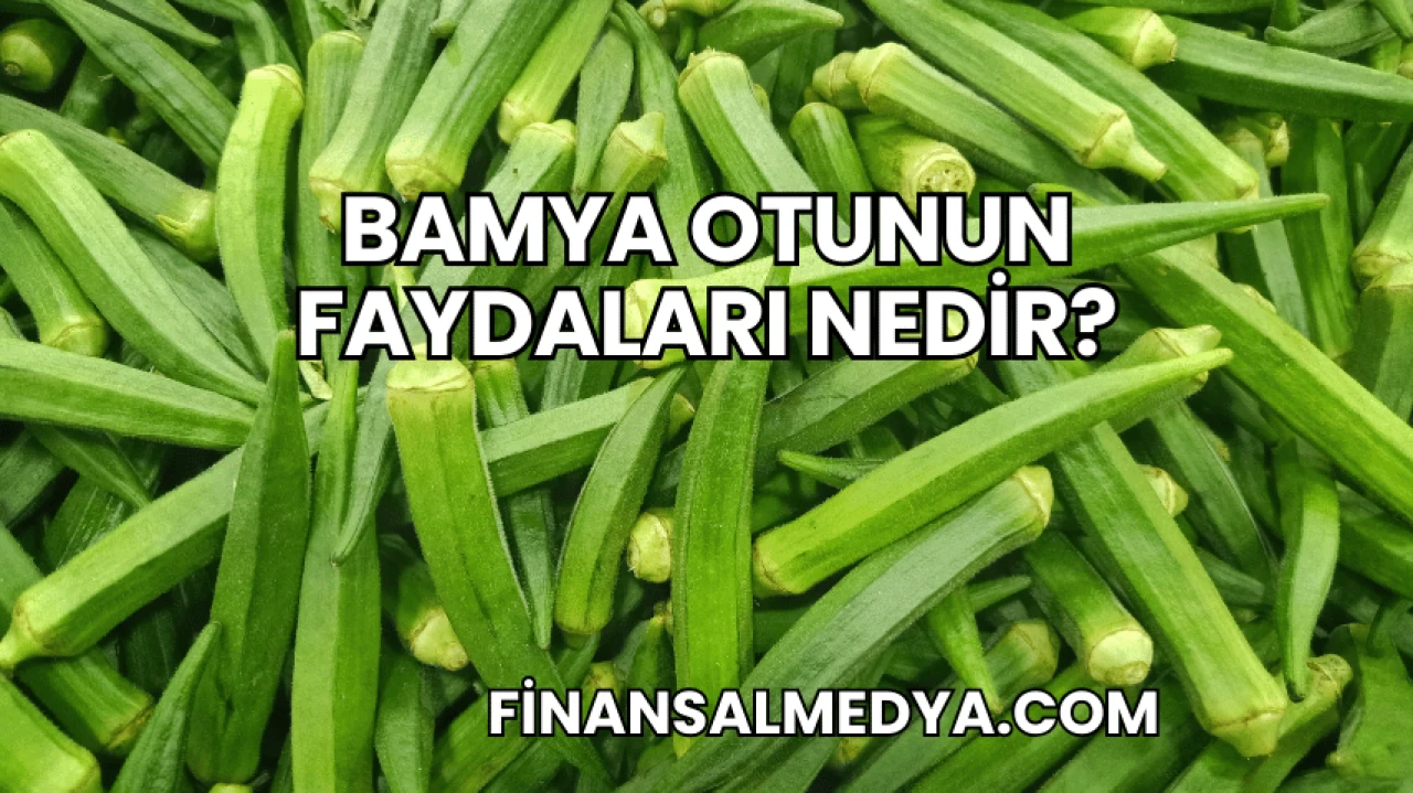 Bamya Otunun Faydaları Nedir?