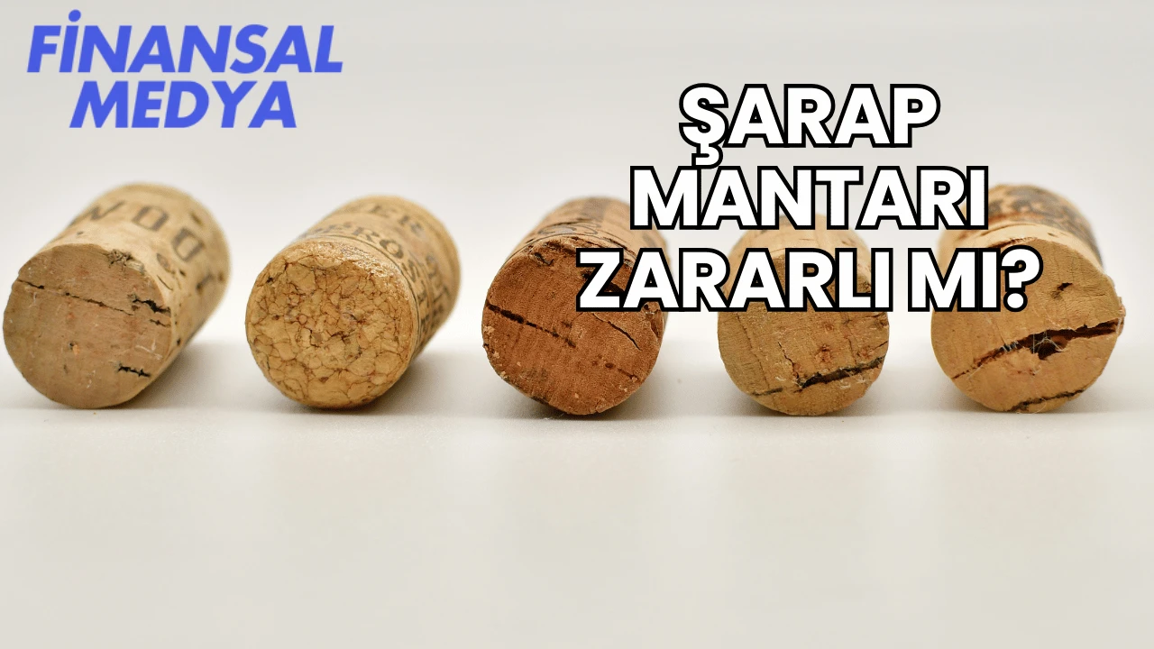 Şarap Mantarı Zararlı mı?