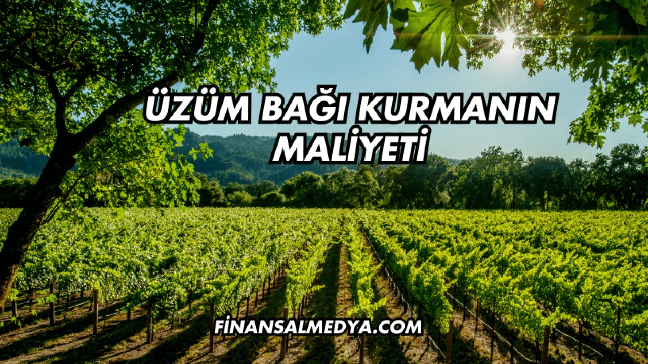 Üzüm Bağı Kurmanın Maliyeti