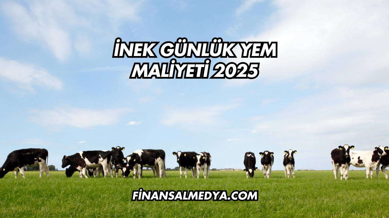 İnek Günlük Yem Maliyeti 2025