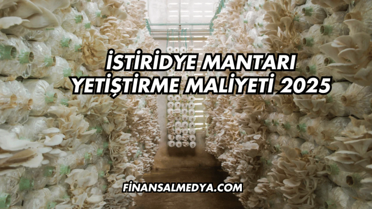 İstiridye Mantarı Yetiştirme Maliyeti 2025