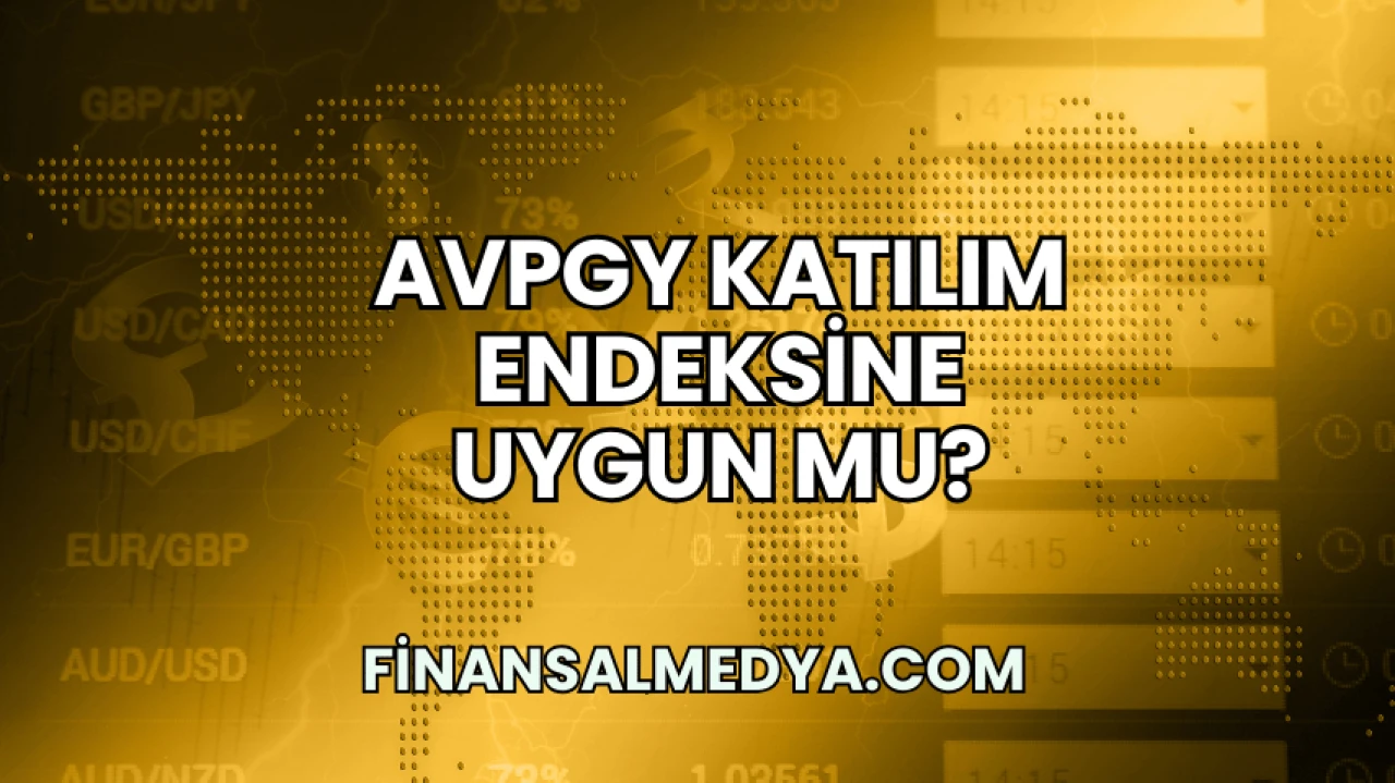 AVPGY Katılım Endeksine Uygun mu?