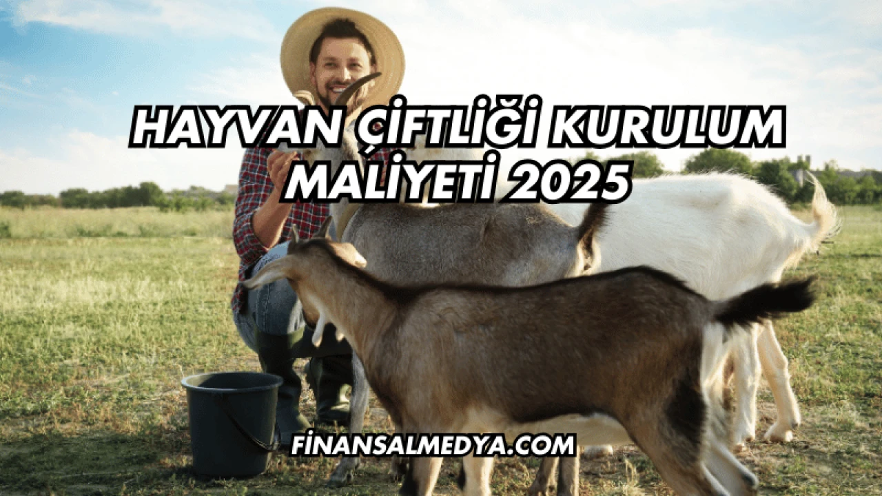 Hayvan Çiftliği Kurulum Maliyeti 2025