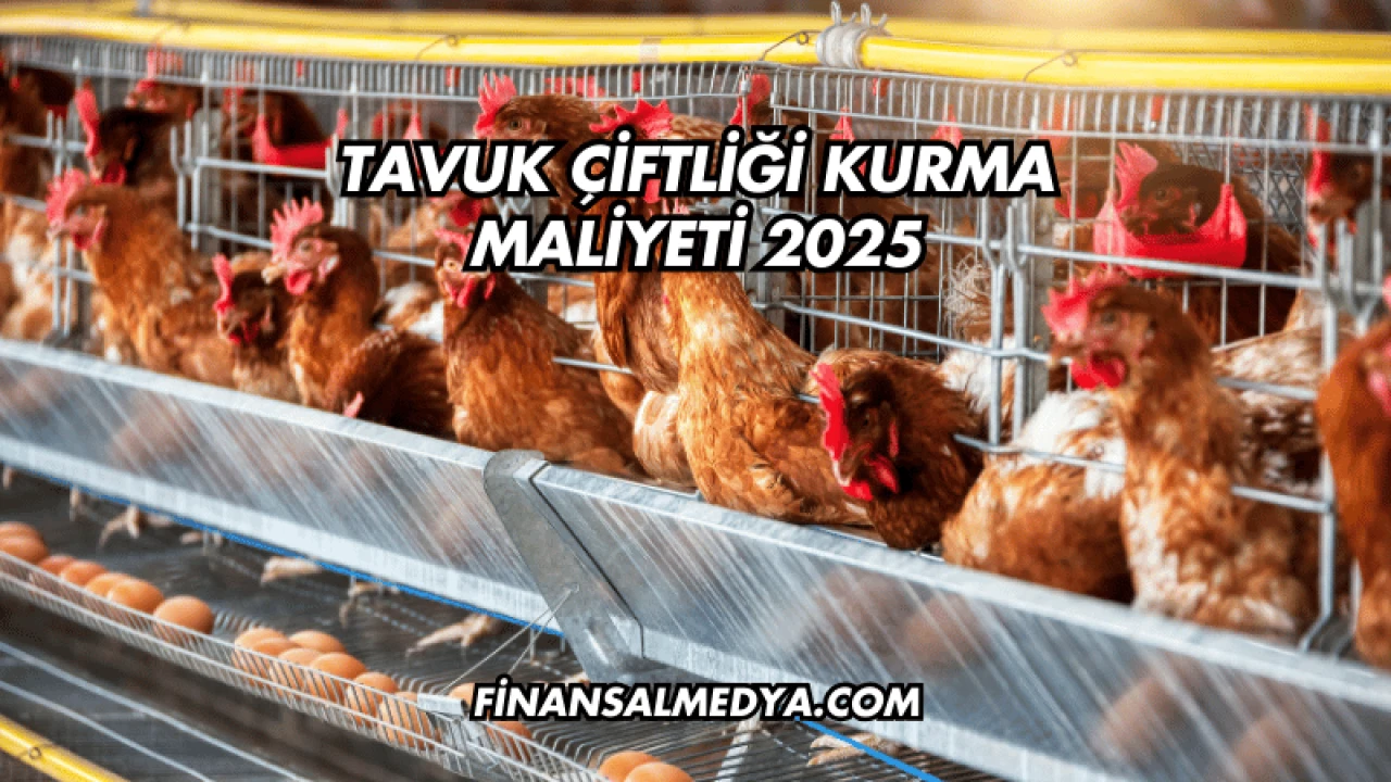 Tavuk Çiftliği Kurma Maliyeti 2025