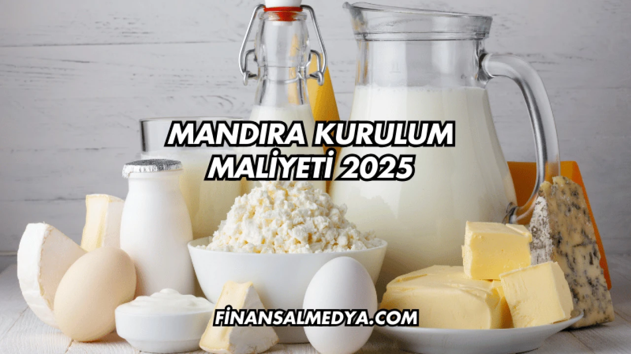 Mandıra Kurulum Maliyeti 2025