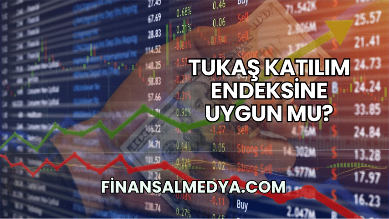 Tukaş Katılım Endeksine Uygun mu?