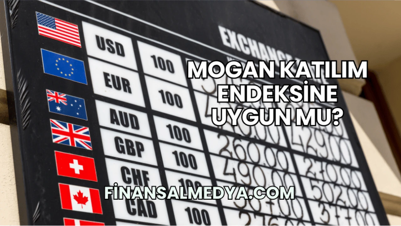 Mogan Katılım Endeksine Uygun mu?