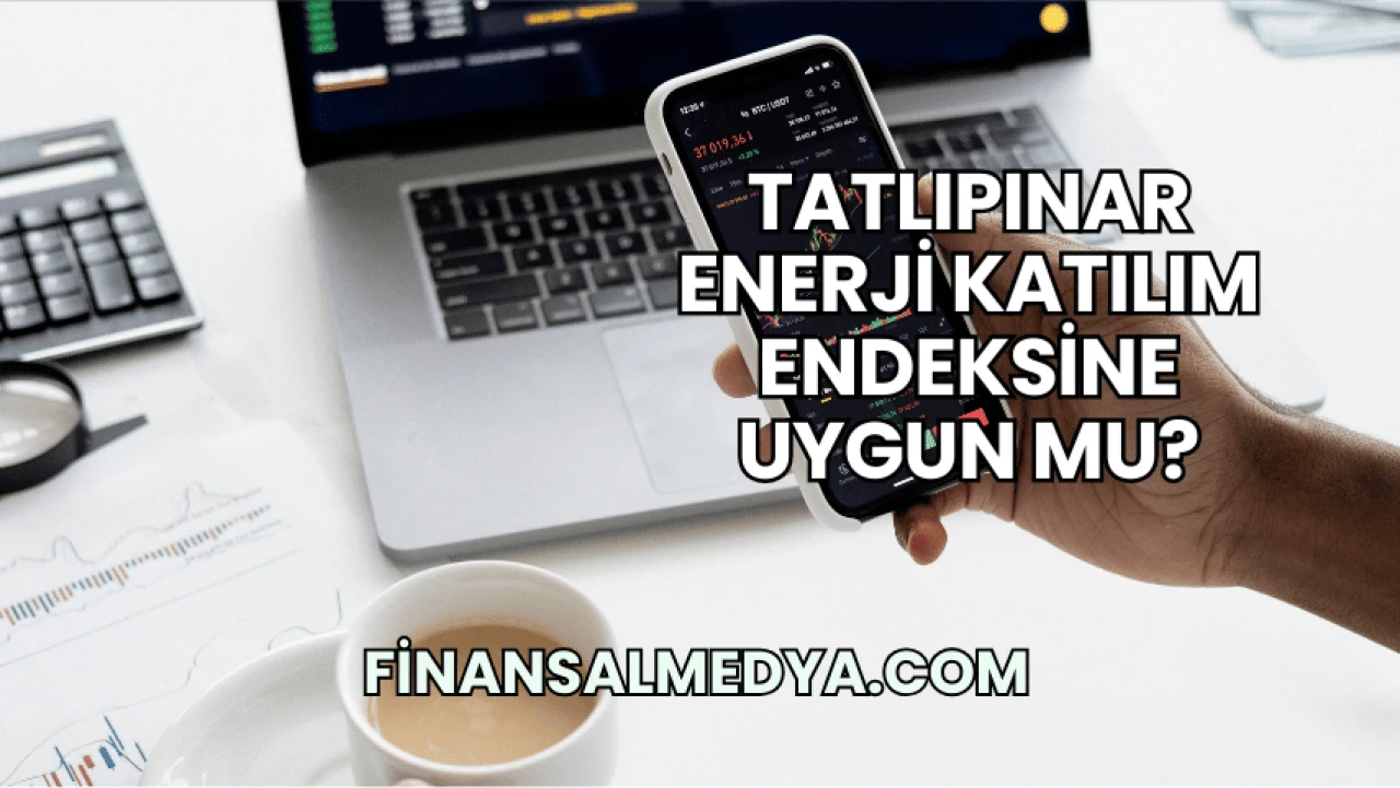 Tatlıpınar Enerji Katılım Endeksine Uygun mu?