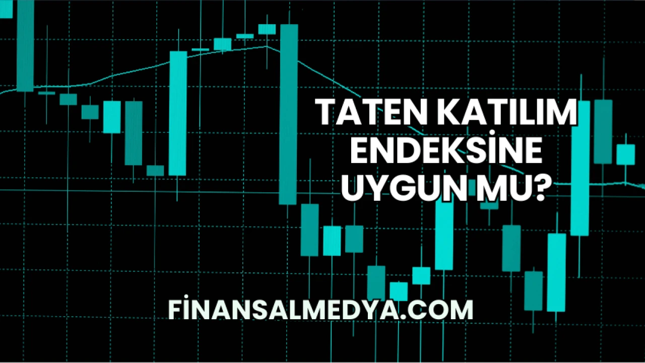 Taten Katılım Endeksine Uygun mu?