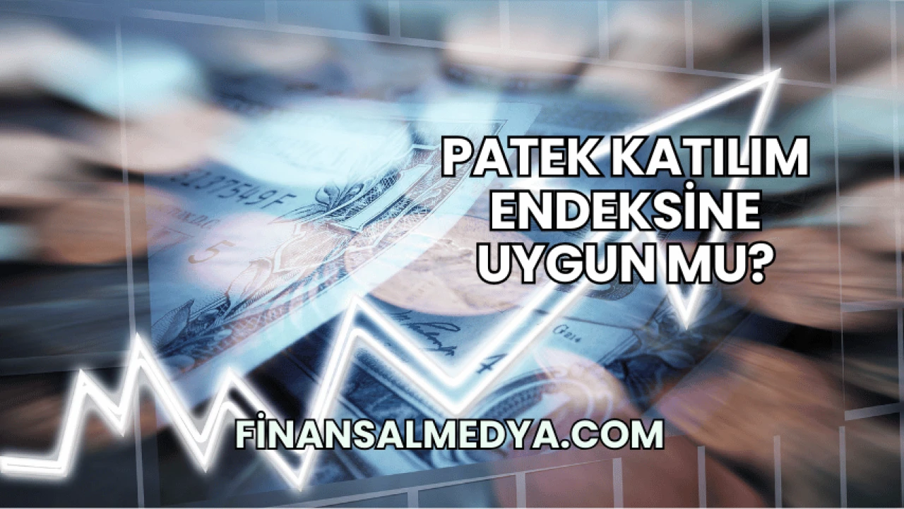 Patek Katılım Endeksine Uygun mu?