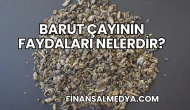 Barut Çayının Faydaları Nelerdir?