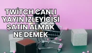 Twitch Canlı Yayın İzleyicisi Satın Almak Ne Demek