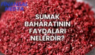 Sumak Baharatının Faydaları Nelerdir?