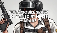 Pubg Mobile TP Nedir? Ne İşe Yarar?