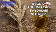 Buğday Tohumu Yağı Faydaları Nelerdir?