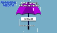 Evcil Hayvan Sigortası Nedir?