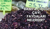 Bamya Çiçeği Çayı Faydaları Nelerdir?