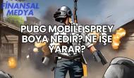 Pubg Mobile Sprey Boya Nedir? Ne İşe Yarar?