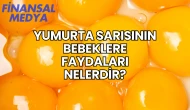 Yumurta Sarısının Bebeklere Faydaları Nelerdir?