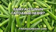 Bamya Otunun Faydaları Nedir?