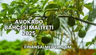 Avokado Bahçesi Maliyeti 2025