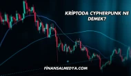 Kriptoda Cypherpunk Ne Demek?