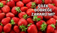 Çilek Böbreğe Zararlı mı?