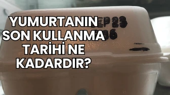 Yumurtanın Son Kullanma Tarihi Ne Kadardır?