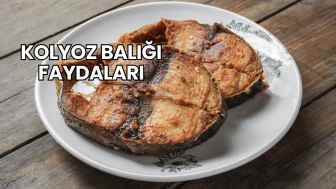 Kolyoz Balığı Faydaları