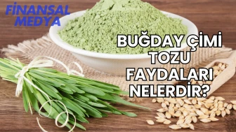 Buğday Çimi Tozu Faydaları Nelerdir?