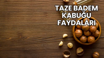 Taze Badem Kabuğu Faydaları