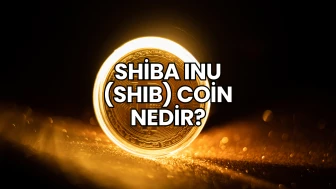 Shiba Inu (SHIB) Coin Nedir?