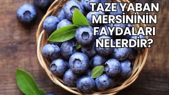 Taze Yaban Mersininin Faydaları Nelerdir?