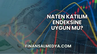 Naten Katılım Endeksine Uygun mu?