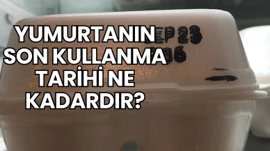 Yumurtanın Son Kullanma Tarihi Ne Kadardır?