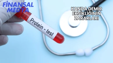 Kanda Demir Eksikliğinin Zararları