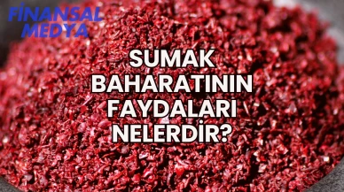 Sumak Baharatının Faydaları Nelerdir?