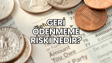 Geri Ödenmeme Riski Nedir?